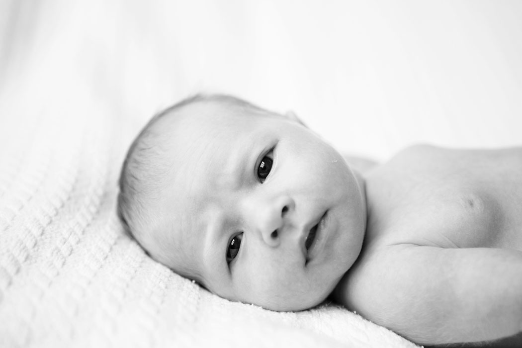 holden-family-newborn-7