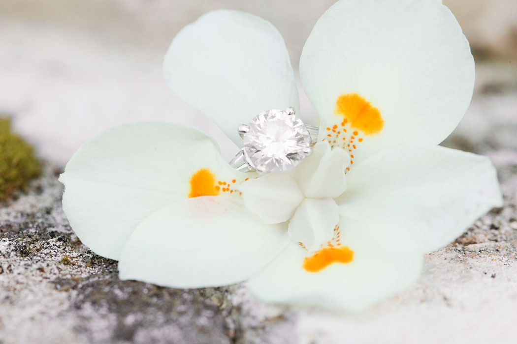 bermuda-engagement-josh-leahanne-coral-beach-club-0019